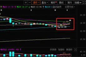 “洛阳纸贵”？有纸企1个月三轮涨价 行业进入扩产周期图片