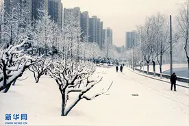 胶片相机记录下的2020图片