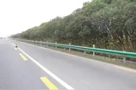 元旦将至！崇明交警安全提醒：陈海公路最右侧车道通行时间通行车辆有限制图片