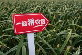 拼多多为啥“不怕”反垄断？图片
