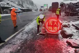 建德马岭隧道四棵“不老松”24小时守护“夺命坡”图片