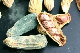 毒性是砒霜的68倍，1毫克就致癌！最容易出现在这些食物中图片