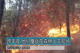 跨年夜 他们鏖战在森林火灾现场视频封面