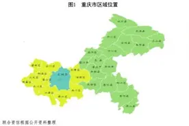 地方政府与城投企业债务风险研究报告——重庆篇图片