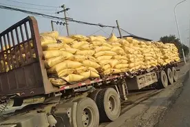 男子持C照开重型半挂车，被发现时载着29吨化肥