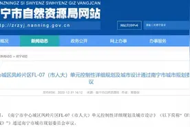 规划公布！南宁市厢竹海鲜市场部分用地将规划一所小学图片