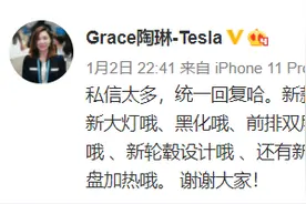 特斯拉陶琳：新款标准续航升级版Model 3新增前排双层玻璃等功能图片