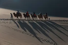 甘肃敦煌：游客骑骆驼赏美景过新年图片
