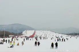 元旦假期冰雪项目受追捧，济南园博园滑雪场迎来大批市民和游客图片