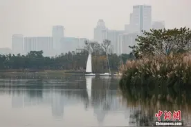 生态环境部：到2025年初步建立全国生态监测网络图片