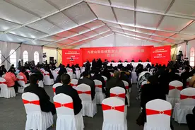 徐州九里山生态修复暨大风歌城项目建设正式启动图片