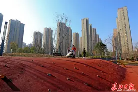 新一轮冷空气要来了！武汉预计本周迎新年第一场雪图片