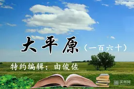 大平原（一百六十）|周总理，我们永远怀念您图片