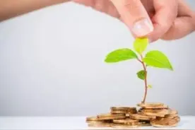 支付宝上线300亿绿色基金，网商银行推出绿色采购贷，蚂蚁的碳中和“生意经”｜碳中和金融专题图片