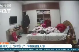 扬州蟊贼盯上“彩虹门”专偷筹办婚礼的家庭图片