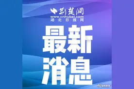 湖北2021年高考11类考生可享加分或优录，首次实行网上申报图片