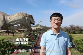 自贸港那些事儿｜Big Bang！这里的 “海陆空”科技“亮了”！视频封面