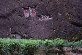 百茶百味 | 大红袍不止“半壁江山”！你真的了解它吗？图片