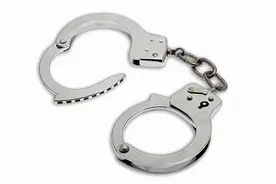 与公司有关 宝利国际以董事长被刑拘的方式完成二代接班 深交所表示关注图片