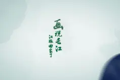 画说长江丨那些无家可归的江豚，现在咋样了？图片
