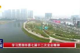 滨海新区：着力打造现代化滨海城市图片
