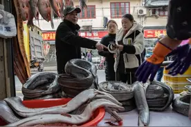 捕捞旺季，上海街头小店一年宰杀600条，风干海鳗好过年……图片