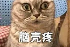 重庆一男子住到贵阳女友家，同居5年后分手，男方索要20万“分手费”图片