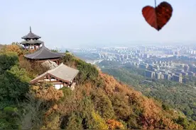 杭州登山爱好者推荐：这里藏着杭州第二个“十里琅珰”……图片