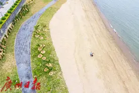 蝶变！广州打造近1公里靓丽海岸风景线图片