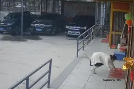 女子办公室门前被台阶绊倒，连滚带爬冲到财神爷前引同事大笑视频封面