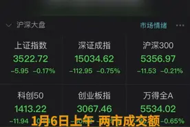 中国财富报道|股市风向标创13年新高！开年最惨个股连续5跌停视频封面