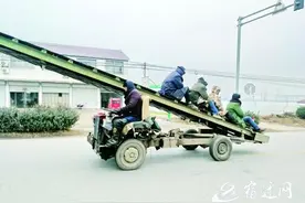 宿迁这个“四不像”有点“狂”图片