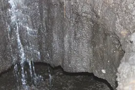 冻土区土壤中的“微观世界”图片