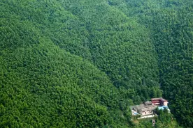 岐山异洞 禅韵杨岐图片