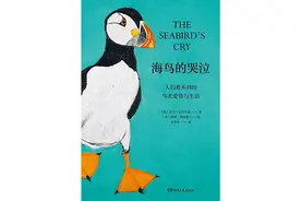 海鸟的哭泣：当科学开始了解海鸟时，它们正在不断死去图片