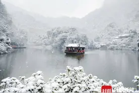 美啦！青城山上飞雪飘出冰雪世界图片