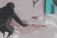 下雪啦！下雪啦！温州幼崽花式赏雪嗨翻了，还有新人举行户外婚礼！超冻人图片