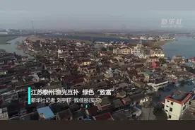 江苏泰州:渔光互补 绿色“致富”视频封面