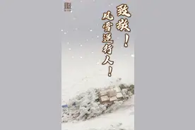 这就是了不起的中国人图片