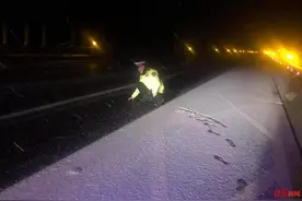 最详路况来了！四川多条高速交通管制 成都市区多处路面结冰图片