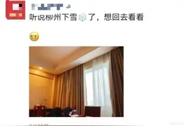 -0.9℃！柳州市区入冬以来最低温！古亭山顶现冰晶景观图片