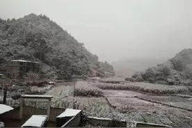 广西也下雪了 百色南部山区普降瑞雪图片