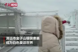 广东下雪！清远金子山成白色童话世界视频封面