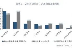「外汇商品」个人投资者海外投资的机遇与风险图片