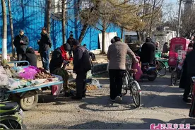 7块9毛9！大葱价格疯狂上涨，一月番三倍图片