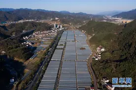 “草莓小镇”推进智慧农业建设图片