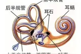 王俊凯突然得的这种病，可能已“盯上”你！这些症状不容忽视……图片