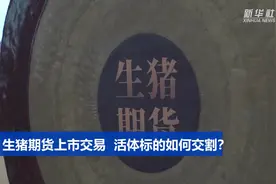 生猪期货上市交易  活体标的咋交割？视频封面