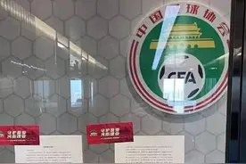 建业球迷远征北京中国足协发告知书求回应：为何要为改名而改名图片