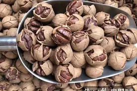 外省小伙留杭州过年吃点啥好？山核桃手剥40元，果仁70元，有临安农户正成本价出货图片